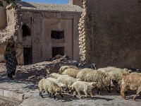 IR2016  IMG 2544 : Iran, NAIEN TRIP