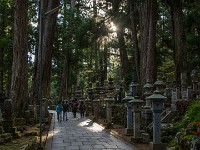 JP 146 IMG 0415 16x9FHD : 2019, JAPAN, NOVEMBER