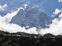 PA060136z