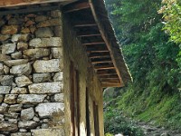 PA080169z