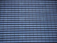 IMG 3502